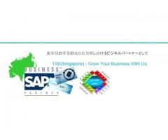 SMEs - ERP Implementation, Support and Corporate development