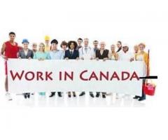 Live  And  Work  In  Canada,UK,USA