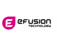 Efusion technology pte ltd