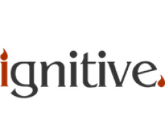 IGNITIVE - Web Design For SMEs & Small Businesses