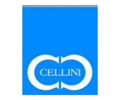 Cellini Holdings Pte Ltd