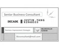Senior Business Consultant