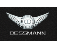 Dessmann Singapore Pte Ltd