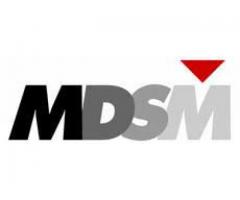 MDSM Consulting